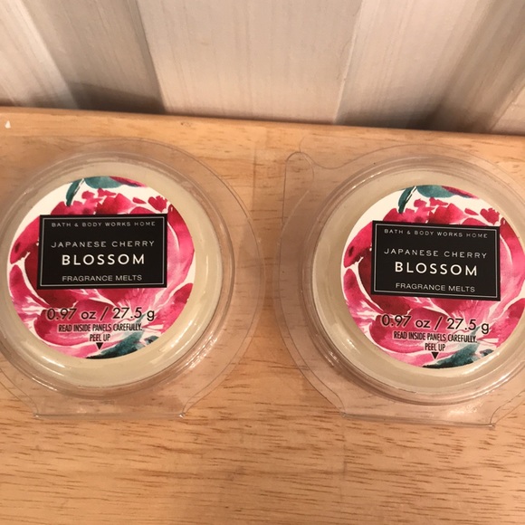 Bath and body works “Discontinued melts and oils” - Picture 9 of 14